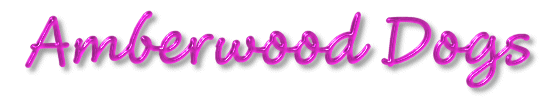 amberwooddogs